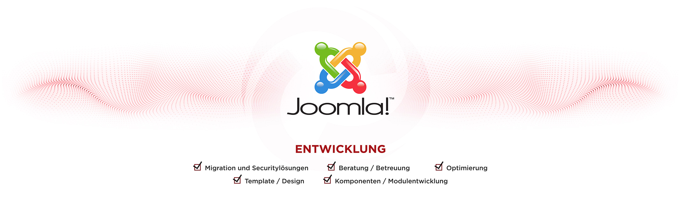 Joomla Webdesign by FaNetwork